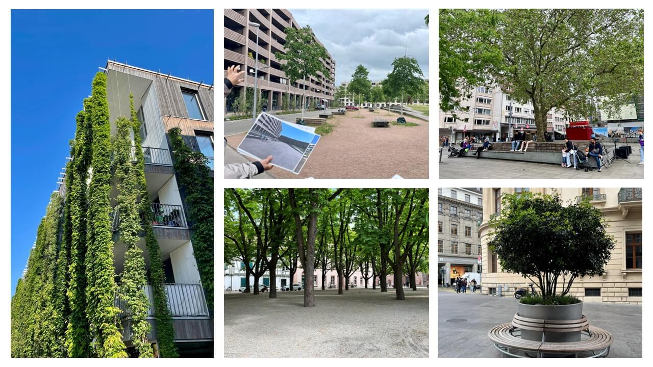 Eine Collage zeigt Architektur und Parks in Basel, mit grünen Wänden und Menschen, die im Freien entspannen. | © Name